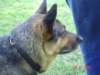 dsc00241_small.jpg