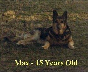 max.jpg