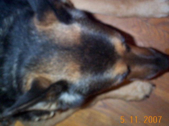 photo2.jpg
