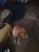 img_20130131_202426_small.jpg