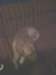 img_20140208_205911_small.jpg