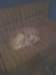 img_20140208_210548_small.jpg