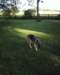 photo0018_small.jpg