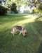 photo0019_small.jpg