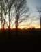 photo0015_small.jpg