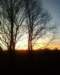 photo0017_small.jpg