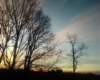 photo0019_small.jpg